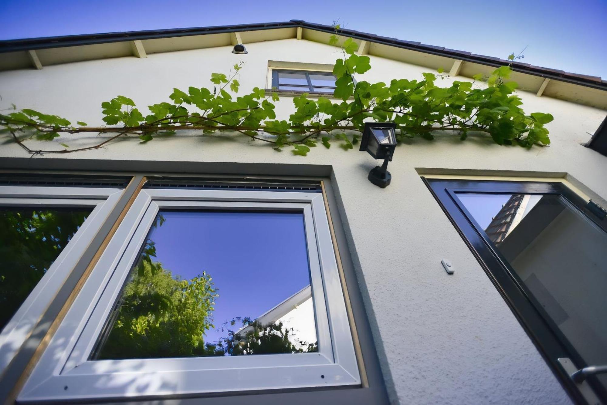 Logies Op Dreef Driebergen Exterior foto